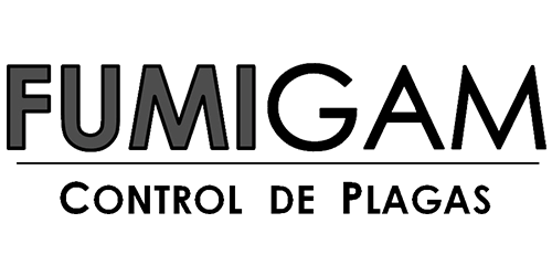 logo-04